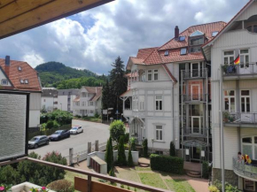 Ferienwohnung Traum an der Radau